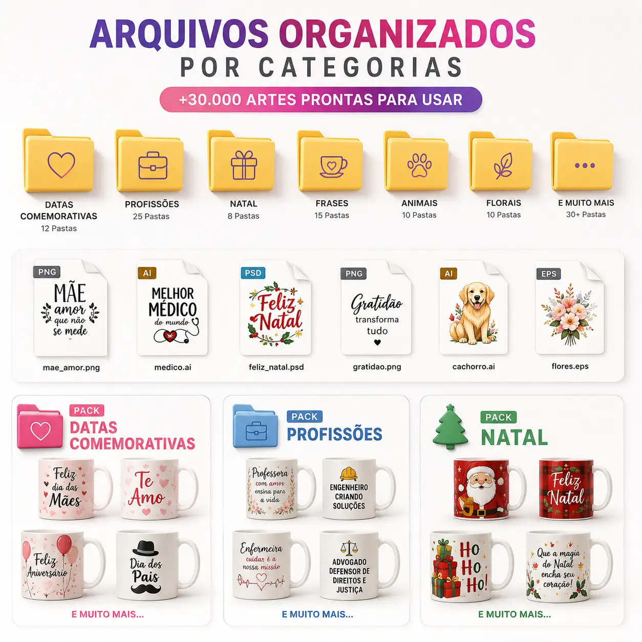 Arquivos Organizados